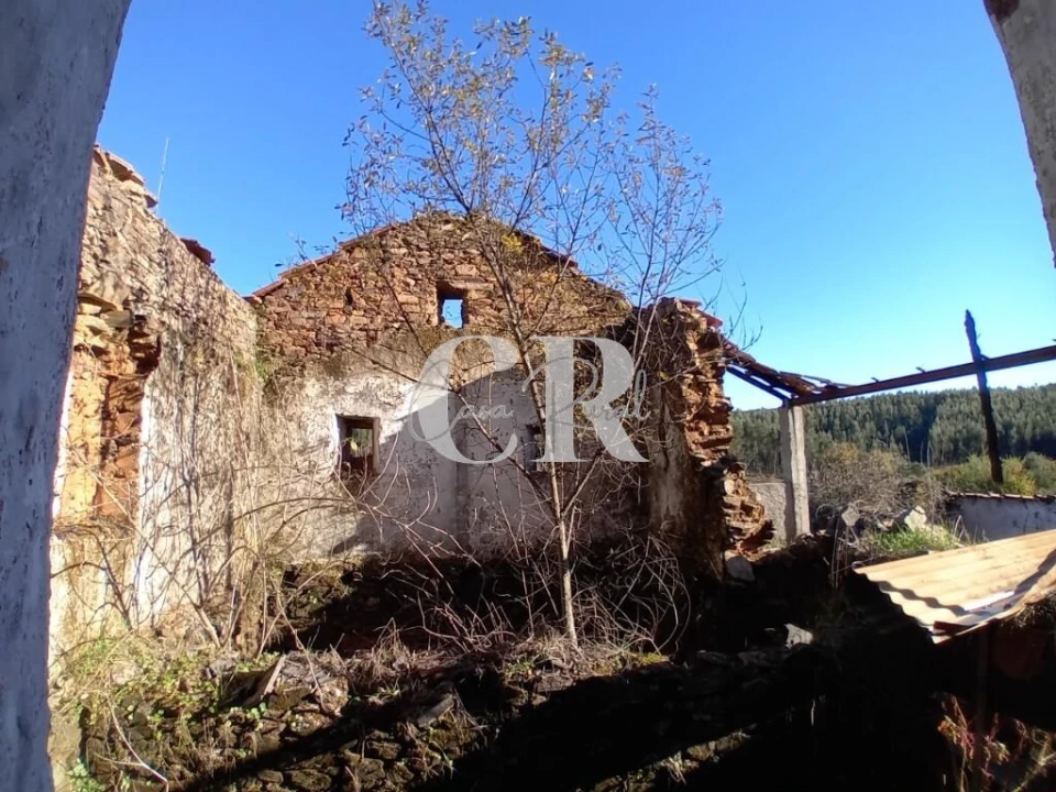 Moradia T3 para Venda em Castanheira de Pêra e Coentral Foto 7