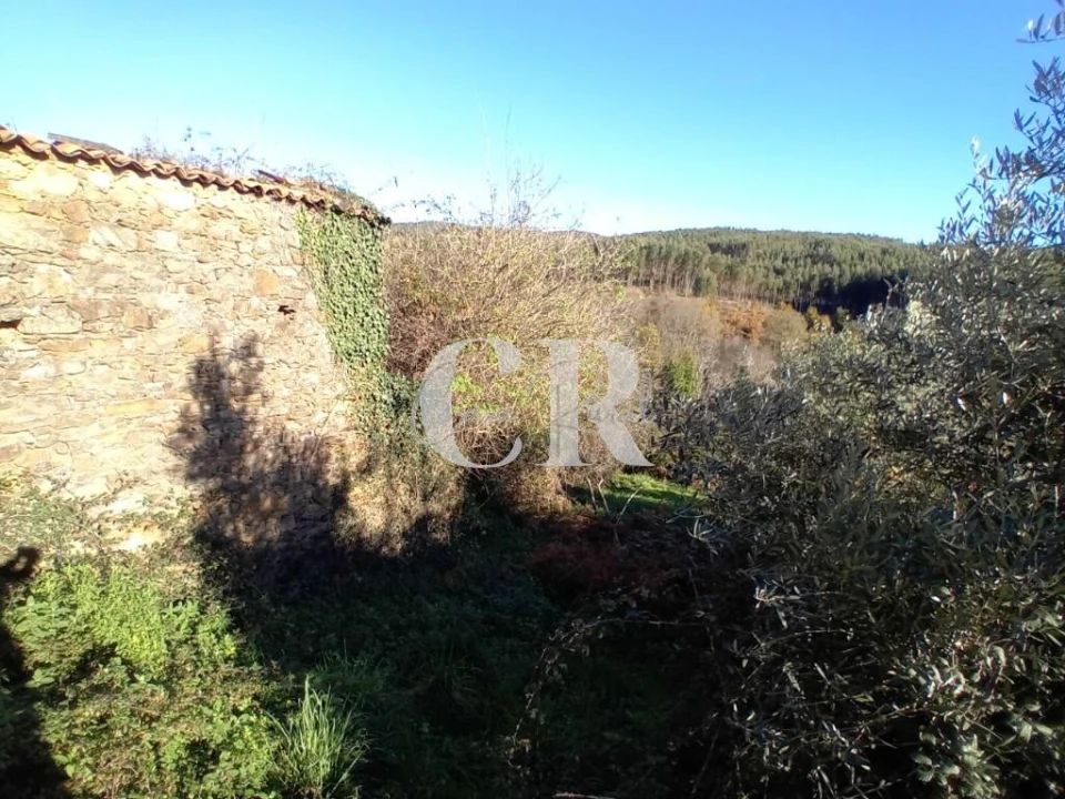 Moradia T3 para Venda em Castanheira de Pêra e Coentral Foto 11