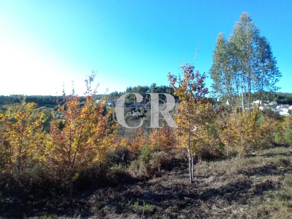 Moradia T3 para Venda em Castanheira de Pêra e Coentral Foto 19