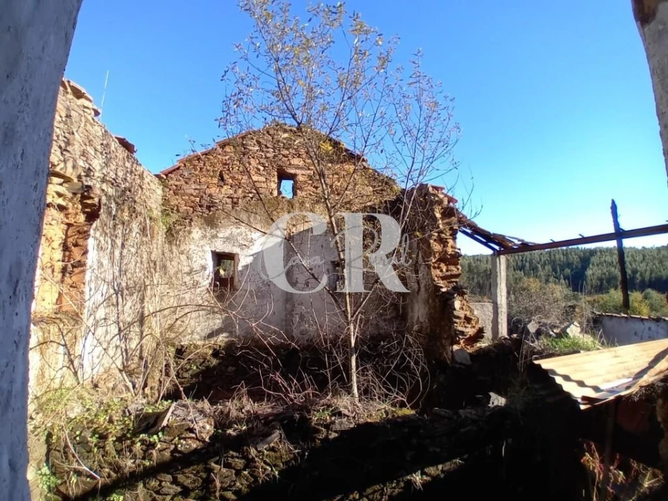 Moradia T3 para Venda em Castanheira de Pêra e Coentral Foto 6