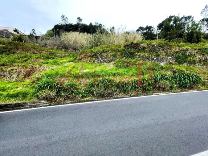 Terreno para Venda em Ribeira da Janela Foto 12