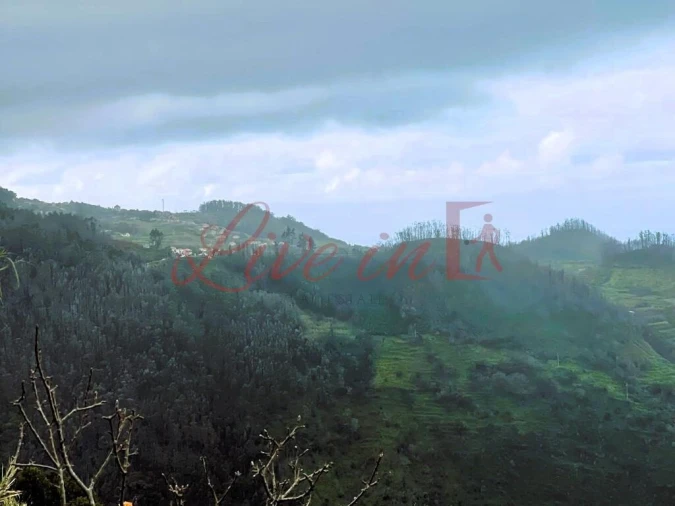 Terreno para Venda em Ribeira da Janela Foto 4