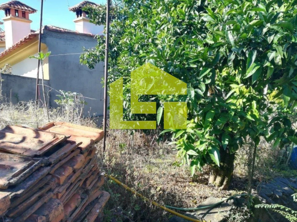 Moradia T3 para Venda em Castanheira de Pêra e Coentral Foto 16