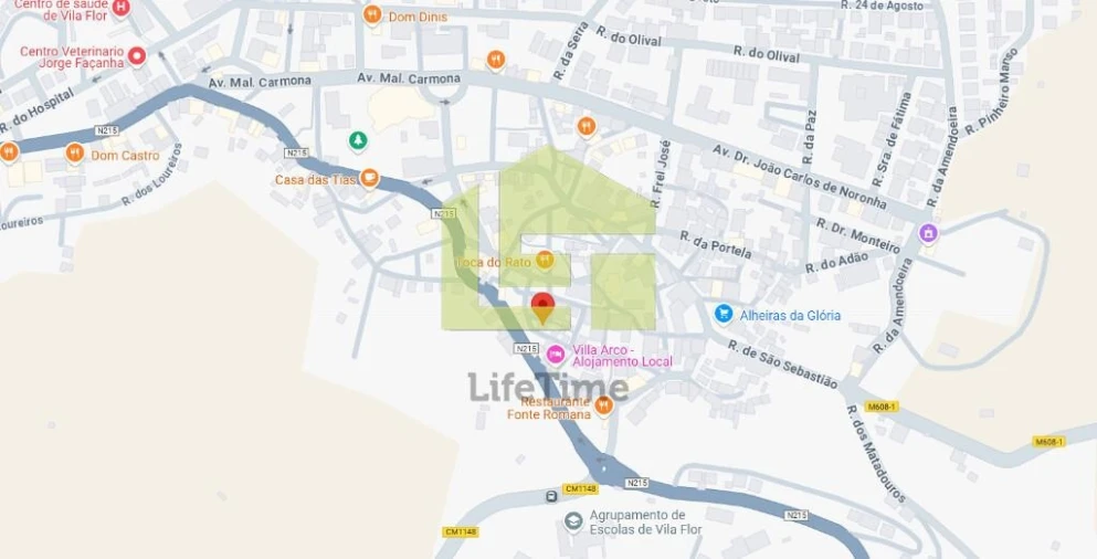 Moradia T3 para Venda em Vila Flor e Nabo Foto 13