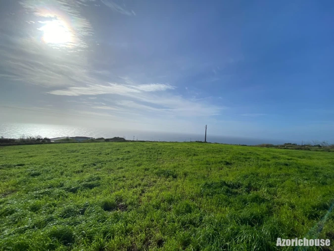 Terreno para Venda em Ponta Garça Foto 6