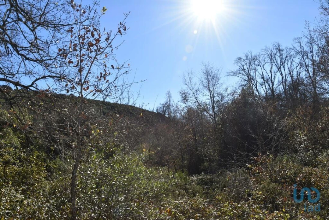 Terreno para Venda em Freixianda, Ribeira do Fárrio e Formigais Foto 6