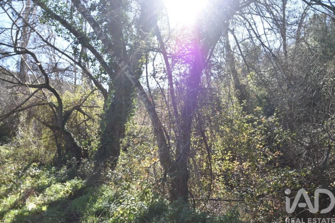 Terreno para Venda em Freixianda, Ribeira do Fárrio e Formigais Foto 16