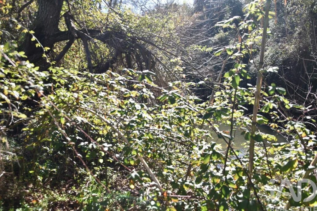 Terreno para Venda em Freixianda, Ribeira do Fárrio e Formigais Foto 20