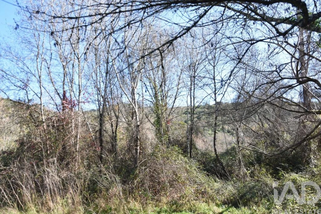 Terreno para Venda em Freixianda, Ribeira do Fárrio e Formigais Foto 18