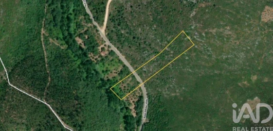 Terreno para Venda em Freixianda, Ribeira do Fárrio e Formigais