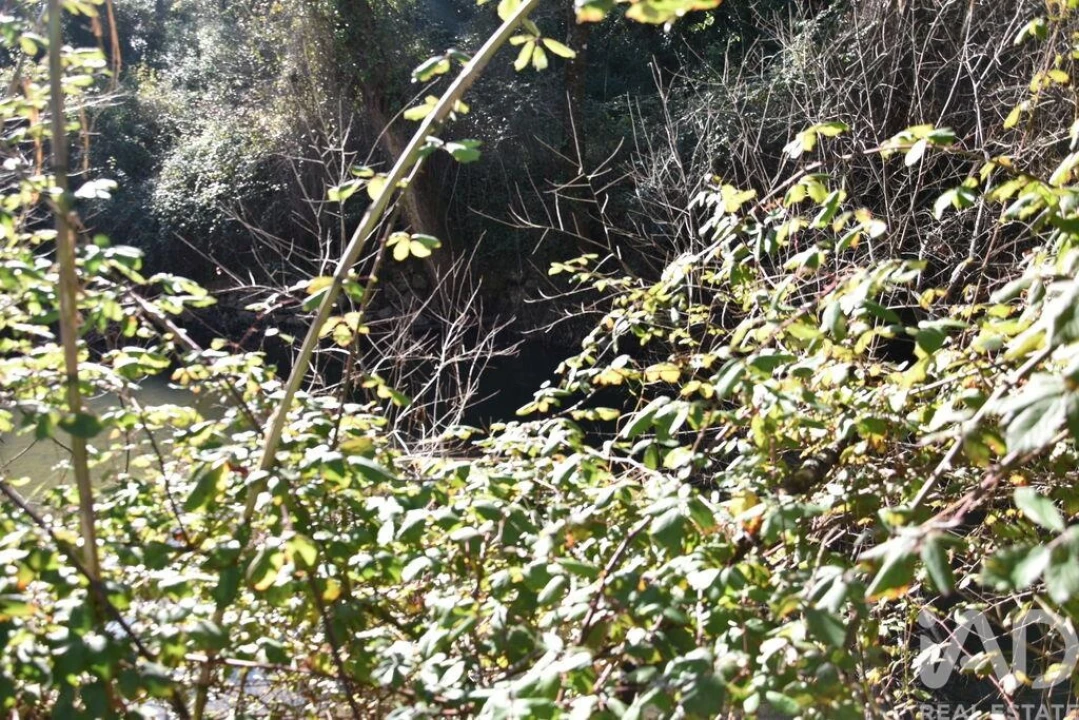 Terreno para Venda em Freixianda, Ribeira do Fárrio e Formigais Foto 19