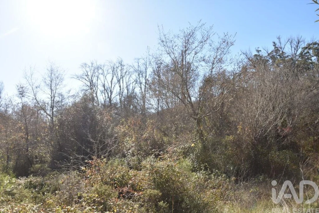 Terreno para Venda em Freixianda, Ribeira do Fárrio e Formigais Foto 23