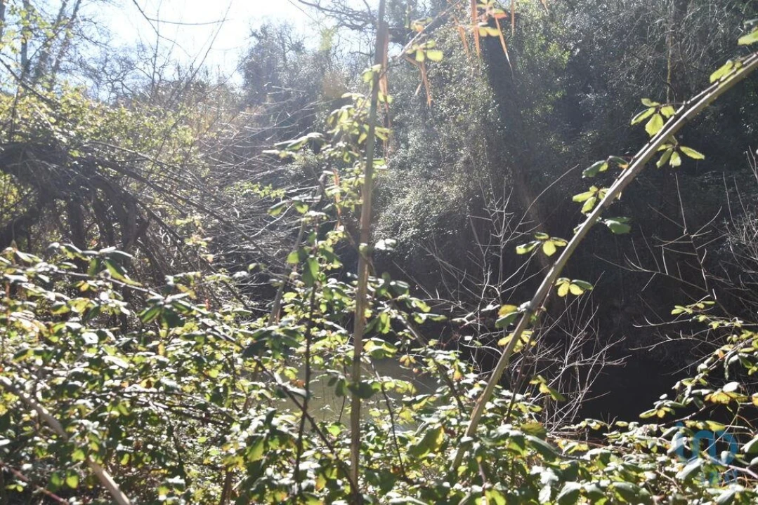 Terreno para Venda em Freixianda, Ribeira do Fárrio e Formigais Foto 4