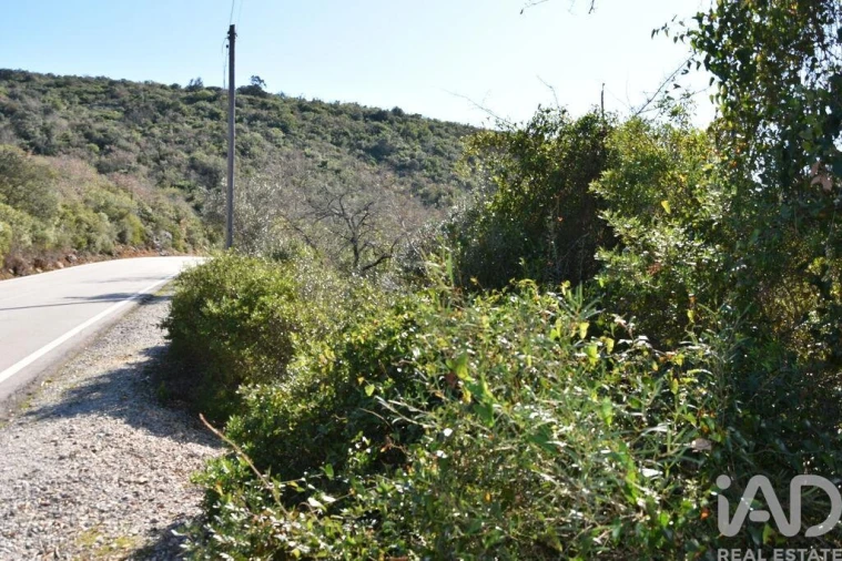 Terreno para Venda em Freixianda, Ribeira do Fárrio e Formigais Foto 29