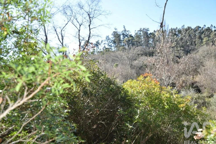 Terreno para Venda em Freixianda, Ribeira do Fárrio e Formigais Foto 27