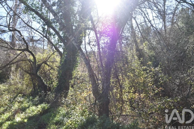 Terreno para Venda em Freixianda, Ribeira do Fárrio e Formigais Foto 16