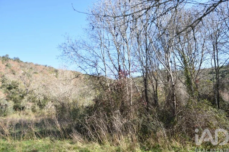Terreno para Venda em Freixianda, Ribeira do Fárrio e Formigais Foto 17
