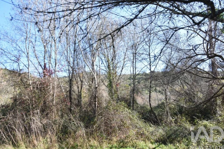 Terreno para Venda em Freixianda, Ribeira do Fárrio e Formigais Foto 18