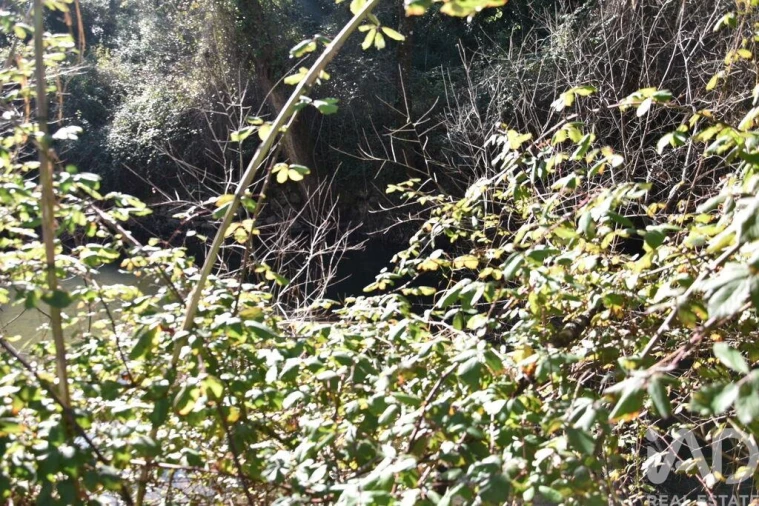 Terreno para Venda em Freixianda, Ribeira do Fárrio e Formigais Foto 19