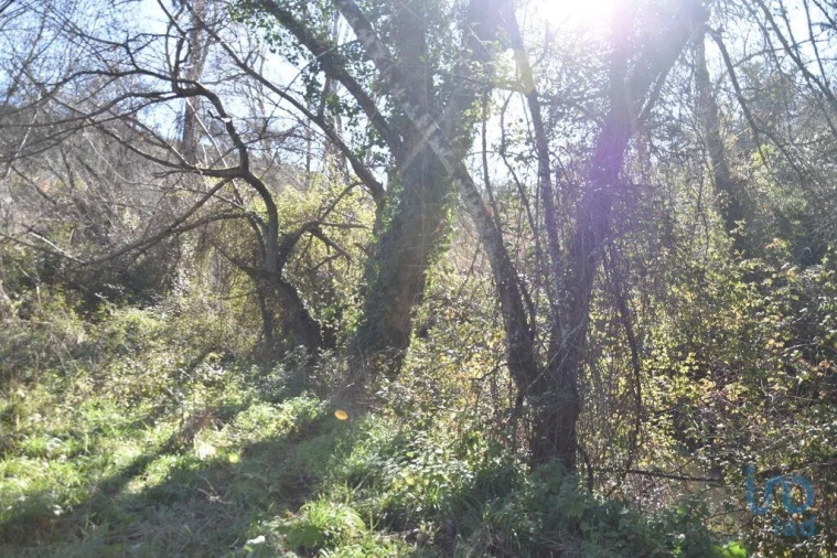 Terreno para Venda em Freixianda, Ribeira do Fárrio e Formigais Foto 3