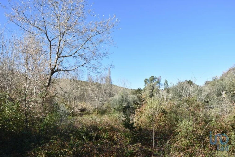 Terreno para Venda em Freixianda, Ribeira do Fárrio e Formigais Foto 9