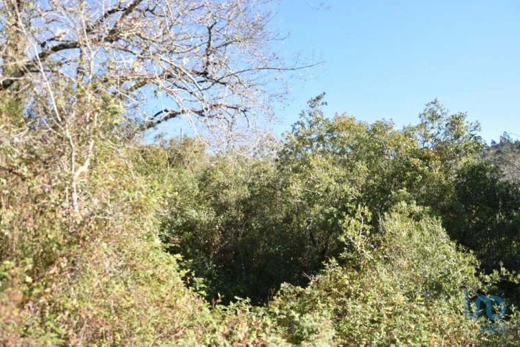Terreno para Venda em Freixianda, Ribeira do Fárrio e Formigais Foto 12