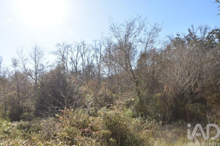 Terreno para Venda em Freixianda, Ribeira do Fárrio e Formigais Foto 23