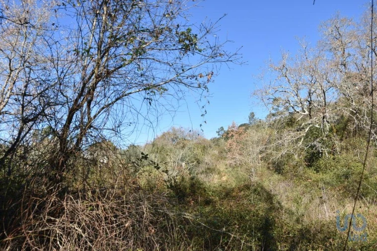 Terreno para Venda em Freixianda, Ribeira do Fárrio e Formigais Foto 8
