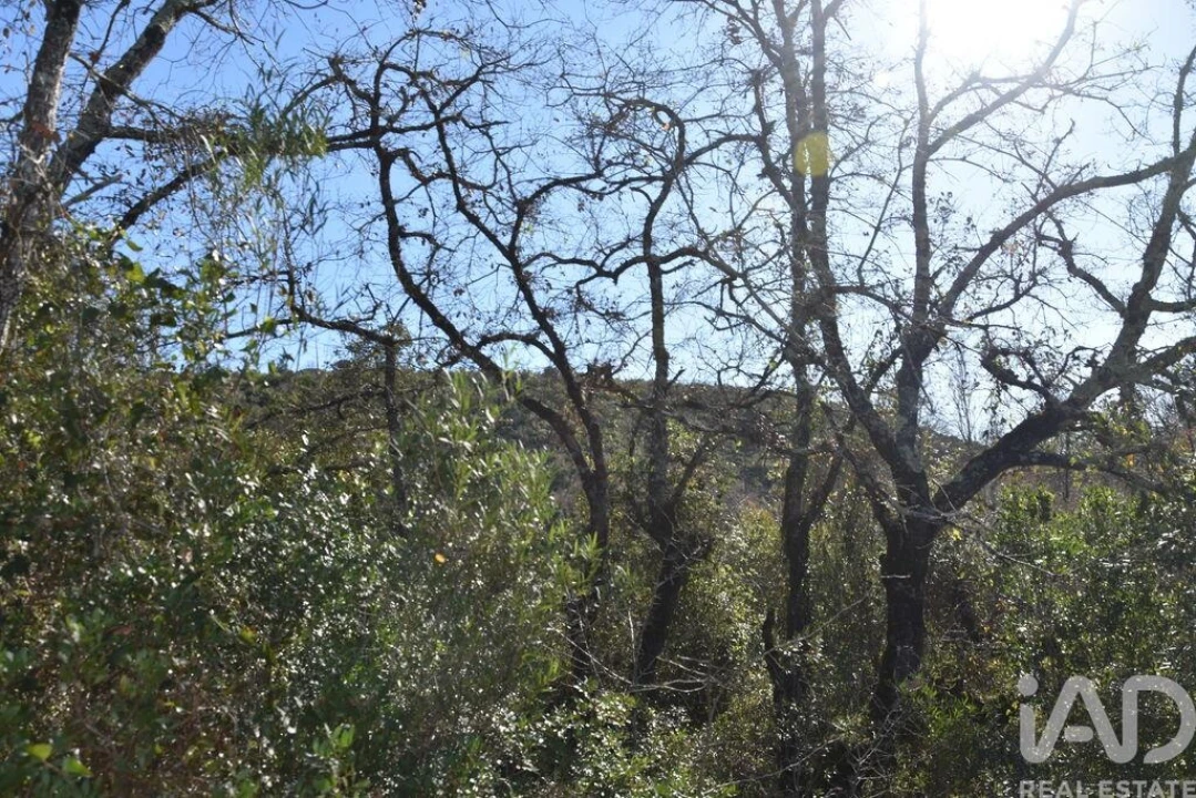 Terreno para Venda em Freixianda, Ribeira do Fárrio e Formigais Foto 25