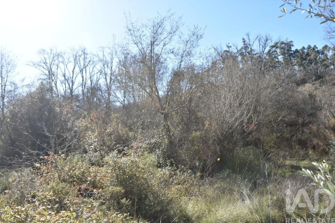 Terreno para Venda em Freixianda, Ribeira do Fárrio e Formigais Foto 24