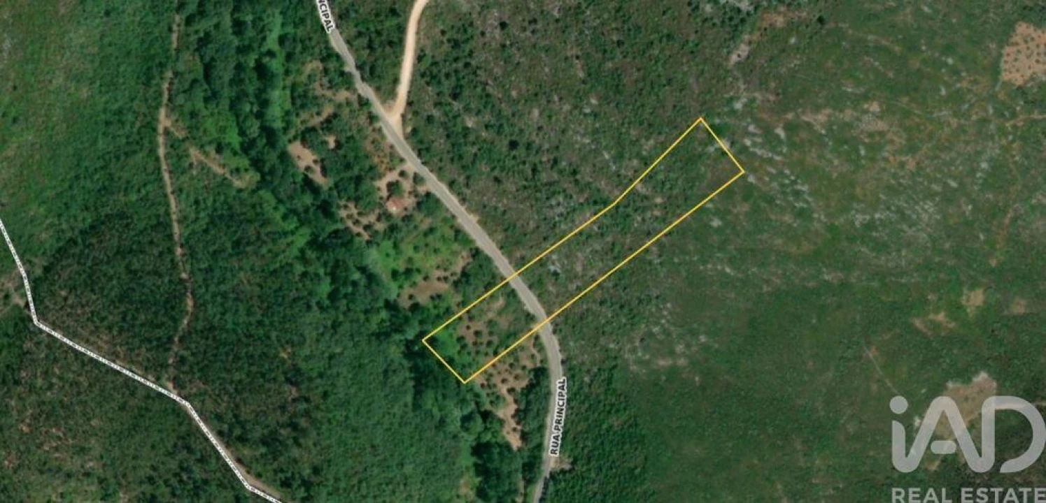 Terreno para Venda em Freixianda, Ribeira do Fárrio e Formigais Foto 30