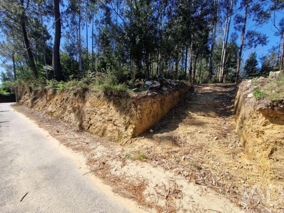 Terreno para Venda em Nogueira, Meixedo e Vilar de Murteda Foto 11