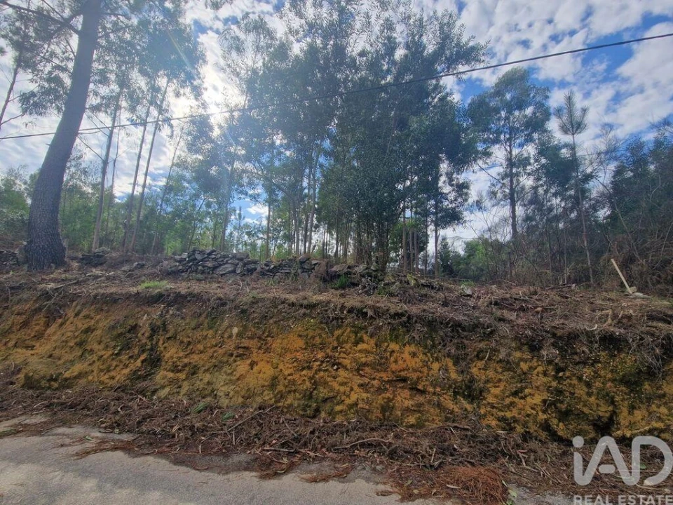 Terreno para Venda em Nogueira, Meixedo e Vilar de Murteda Foto 16