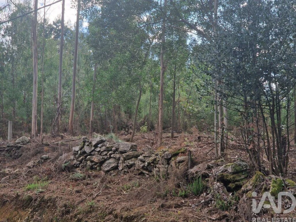 Terreno para Venda em Nogueira, Meixedo e Vilar de Murteda Foto 18