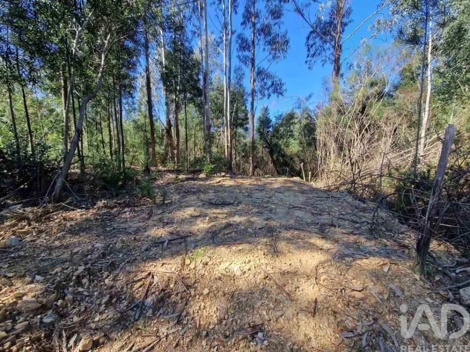 Terreno para Venda em Nogueira, Meixedo e Vilar de Murteda Foto 7