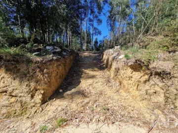 Terreno para Venda em Nogueira, Meixedo e Vilar de Murteda