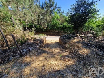 Terreno para Venda em Nogueira, Meixedo e Vilar de Murteda