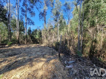 Terreno para Venda em Nogueira, Meixedo e Vilar de Murteda