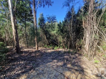 Terreno para Venda em Nogueira, Meixedo e Vilar de Murteda