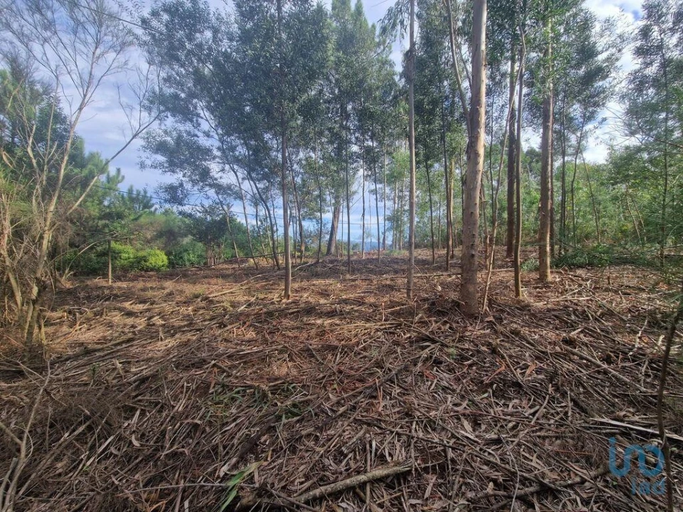 Terreno para Venda em Nogueira, Meixedo e Vilar de Murteda Foto 2