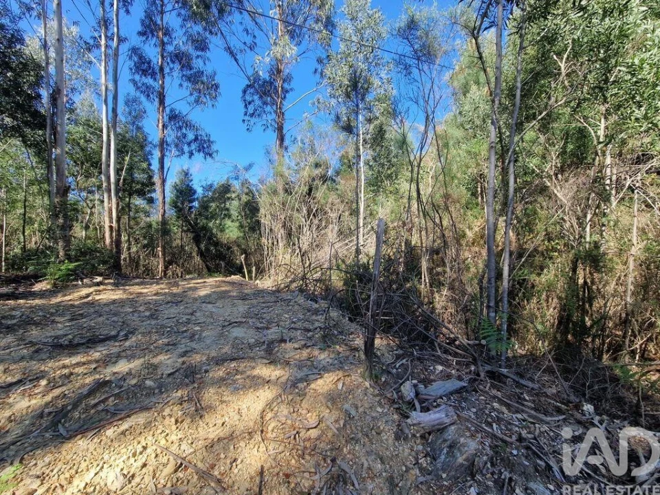 Terreno para Venda em Nogueira, Meixedo e Vilar de Murteda Foto 6