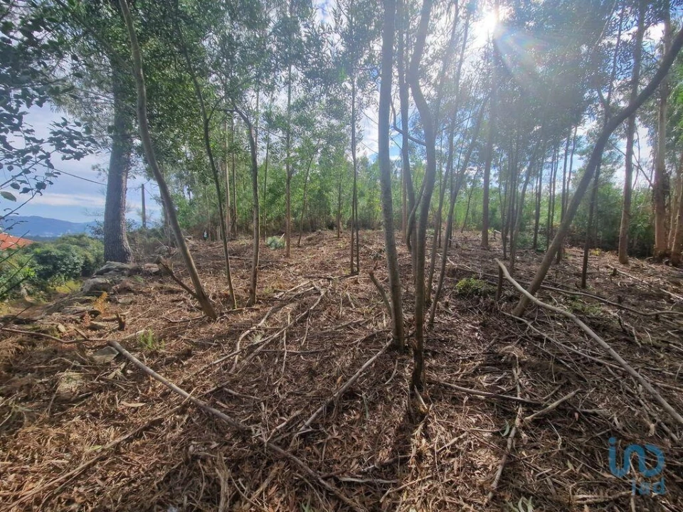 Terreno para Venda em Nogueira, Meixedo e Vilar de Murteda Foto 9