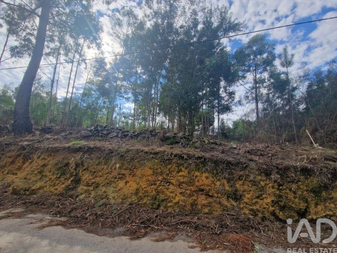 Terreno para Venda em Nogueira, Meixedo e Vilar de Murteda Foto 16