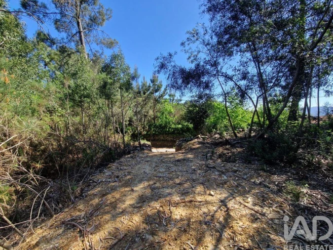 Terreno para Venda em Nogueira, Meixedo e Vilar de Murteda Foto 3