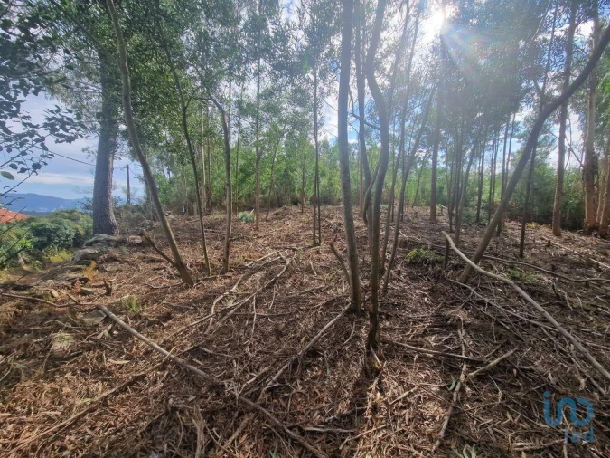 Terreno para Venda em Nogueira, Meixedo e Vilar de Murteda Foto 9