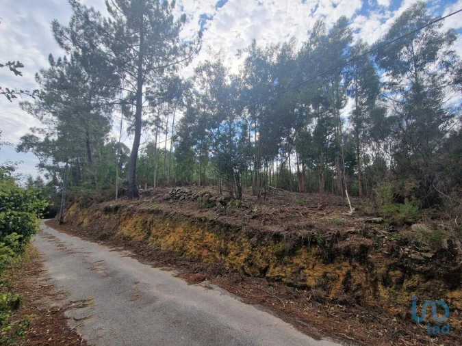 Terreno para Venda em Nogueira, Meixedo e Vilar de Murteda Foto 14