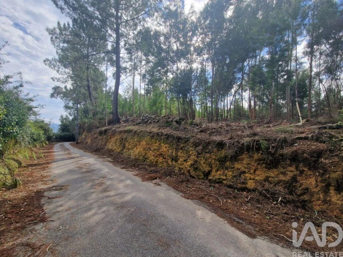 Terreno para Venda em Nogueira, Meixedo e Vilar de Murteda Foto 15