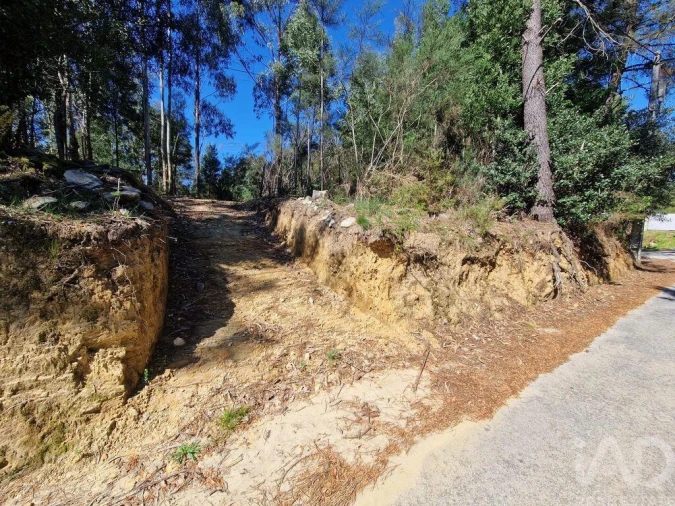 Terreno para Venda em Nogueira, Meixedo e Vilar de Murteda Foto 10