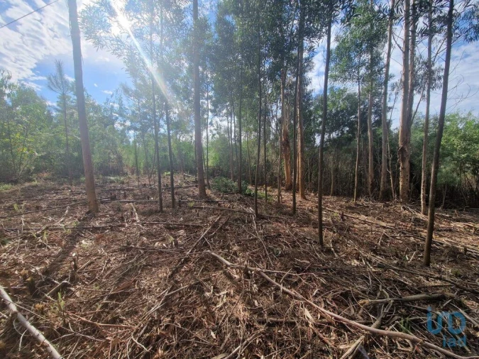 Terreno para Venda em Nogueira, Meixedo e Vilar de Murteda Foto 7