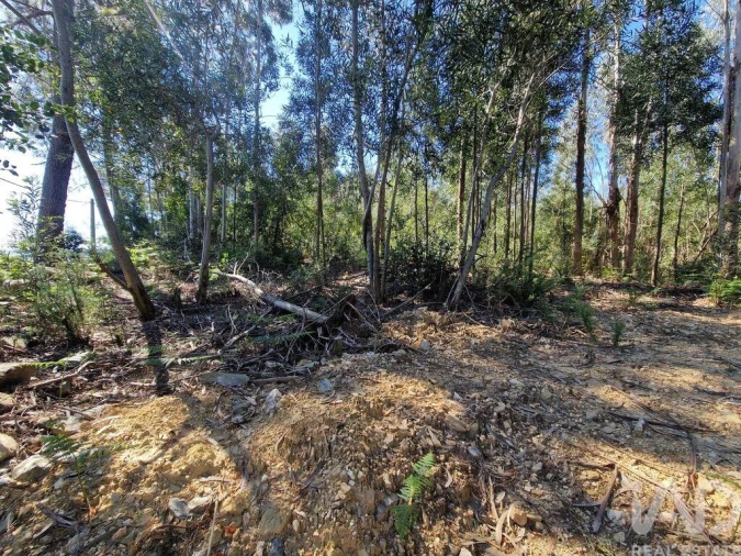 Terreno para Venda em Nogueira, Meixedo e Vilar de Murteda Foto 8